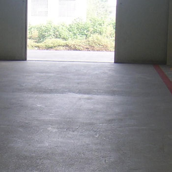 IMG_0005.jpg IMG_0005.jpg